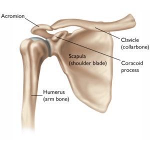 Understanding the causes and symptoms of shoulder joint damage, including pain, stiffness, and mobility issues.